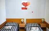 Туры в отель Veli Joze