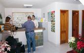 Туры в отель Apartamentos Babalu
