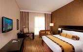 Туры в отель Hyatt Regency Oryx Doha