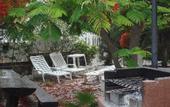 Туры в отель Apartamentos San Jorge