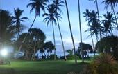 Туры в отель Crystal Villa Weligama