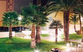 Туры в отель Holiday Inn Alicante - Playa De San Juan