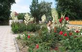Туры в отель Вита