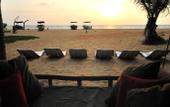 Туры в отель Dolphin Beach Resort