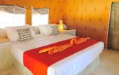Туры в отель Dolphin Beach Resort