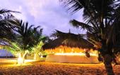 Туры в отель Dolphin Beach Resort