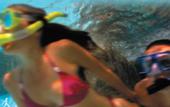 Туры в отель Breezes Bahamas