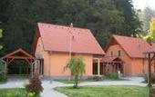 Туры в отель Hotel Bazant