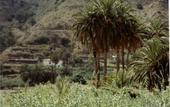 Туры в отель Finca Pinero