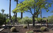 Туры в отель Parador de La Gomera