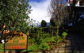 Туры в отель La Palma Romantica