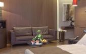 Туры в отель Berg Luxury Hotel