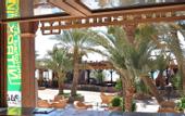 Туры в отель Acacia Dahab Hotel