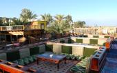 Туры в отель Acacia Dahab Hotel