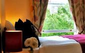 Туры в отель Waterloo Lodge