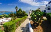 Туры в отель Agionissi Resort
