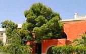 Туры в отель Es Baulo Petit Hotel