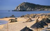 Туры в отель Sheraton Hacienda del Mar Resort & Spa Los Cabos