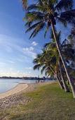 Туры в отель Budds Beach Apartments