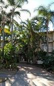 Туры в отель Comfort Inn & Suites Mari Court