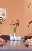 Туры в отель Comfort Inn Airport Admiralty