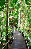 Туры в отель Daintree Wilderness Lodge