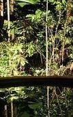 Туры в отель Daintree Wilderness Lodge