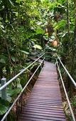 Туры в отель Daintree Wilderness Lodge