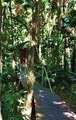 Туры в отель Daintree Wilderness Lodge