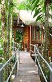 Туры в отель Daintree Wilderness Lodge