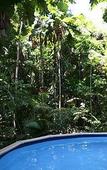 Туры в отель Daintree Wilderness Lodge