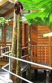 Туры в отель Daintree Wilderness Lodge