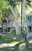 Туры в отель Melaleuca Resort