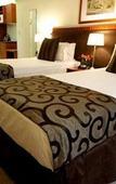 Туры в отель Rendezvous Hotel Brisbane