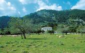 Туры в отель EcoHotel & Spa Monnaber Nou