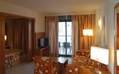 Туры в отель Protur Palmeras Playa