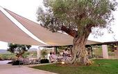 Туры в отель Son Penya Petit Hotel