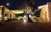 Туры в отель Son Penya Petit Hotel