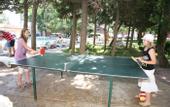 Туры в отель Club Hotel Bor