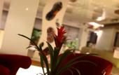 Туры в отель № 19 Boutique Hotel