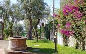 Туры в отель Villa Carolina