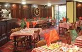 Туры в отель Britannia Sachas Hotel Manchester