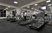 Туры в отель Oaks Liwa Heights Dubai