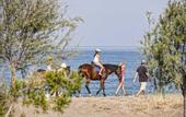 Туры в отель Thalatta Seaside Hotel