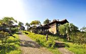 Туры в отель Anaheim Villa Lake Buyan