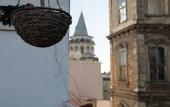 Туры в отель Galatalife