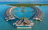 Туры в отель Niyama Private Islands Maldives