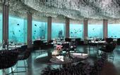 Туры в отель Niyama Private Islands Maldives