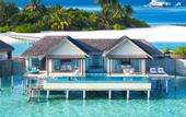 Туры в отель Niyama Private Islands Maldives
