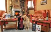 Туры в отель Le Petit Abri